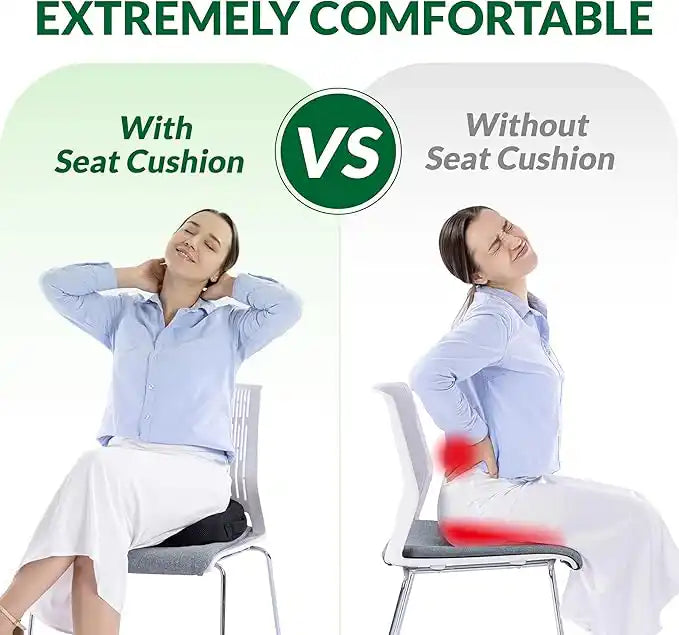 Back & Tailbone Support Cushion