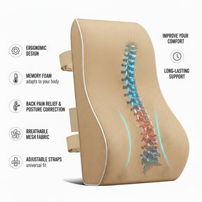 Seat Back & Lumbar Support Cushion