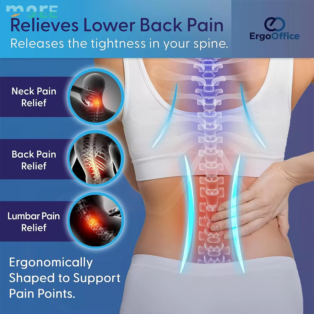 Seat Back & Lumbar Support Cushion